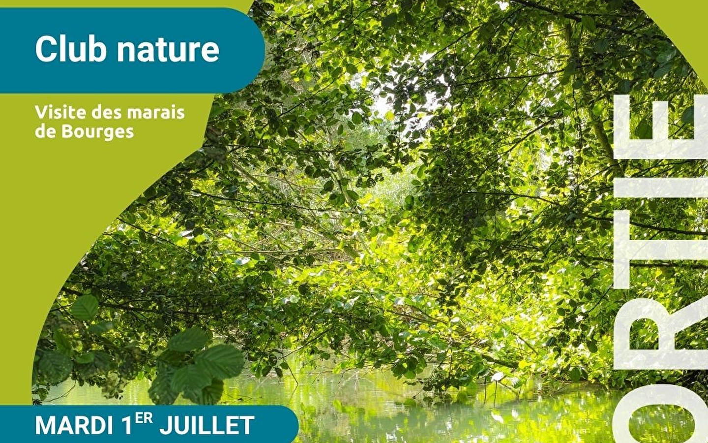 Visite des marais de Bourges